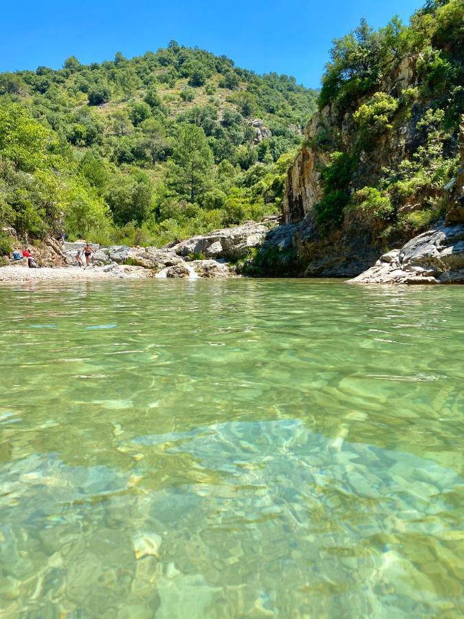 Apartaments Chenin Blanc-Priorat- コルノデイヤ エクステリア 写真