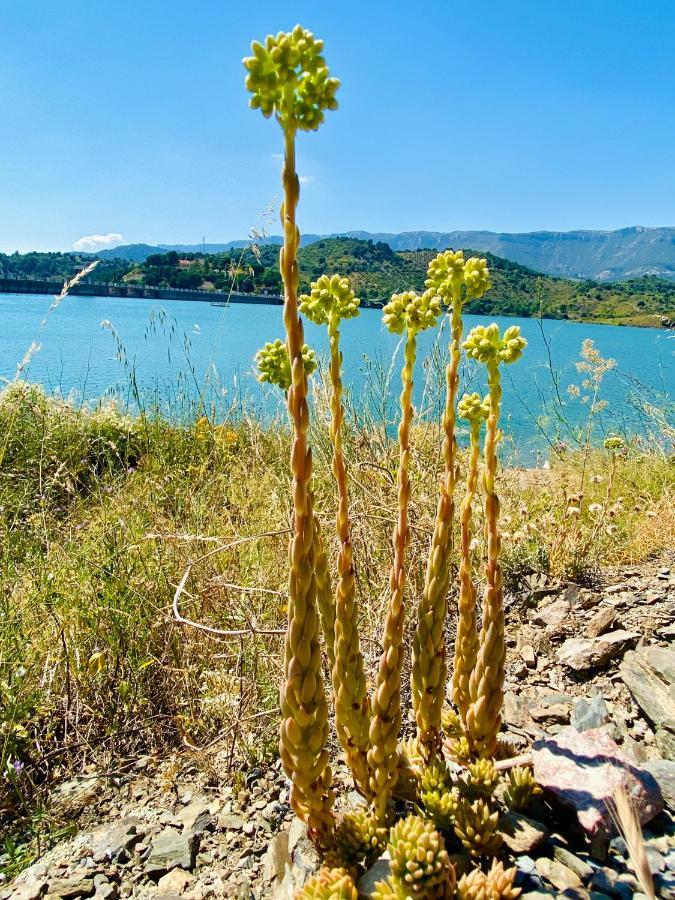 Apartaments Chenin Blanc-Priorat- コルノデイヤ エクステリア 写真
