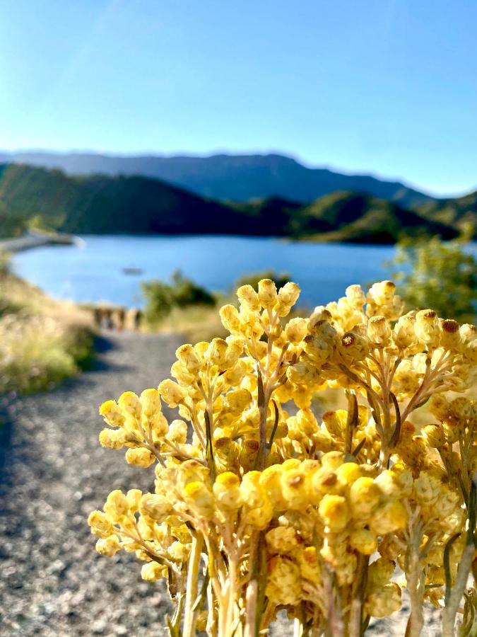 Apartaments Chenin Blanc-Priorat- コルノデイヤ エクステリア 写真