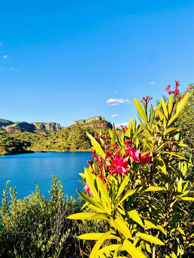 Apartaments Chenin Blanc-Priorat- コルノデイヤ エクステリア 写真